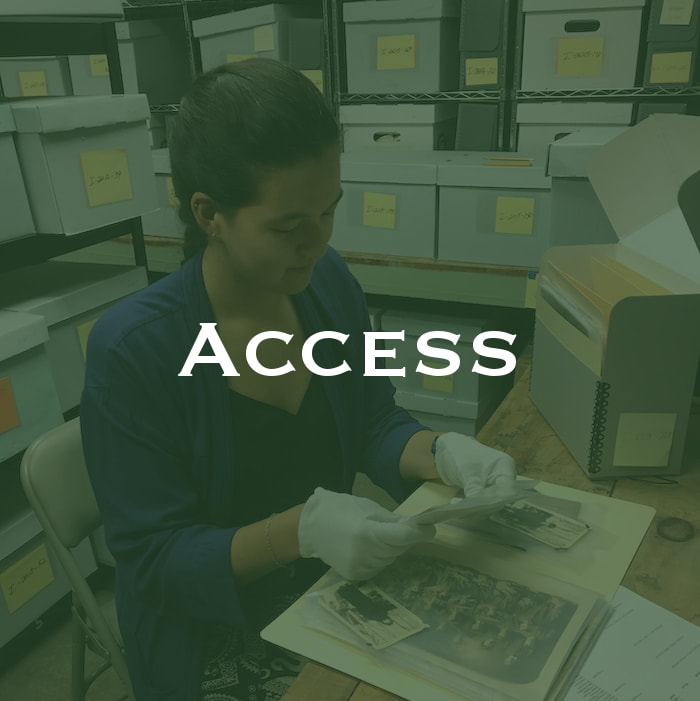 Access the collections